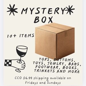 Mystery Box with 10+ Items